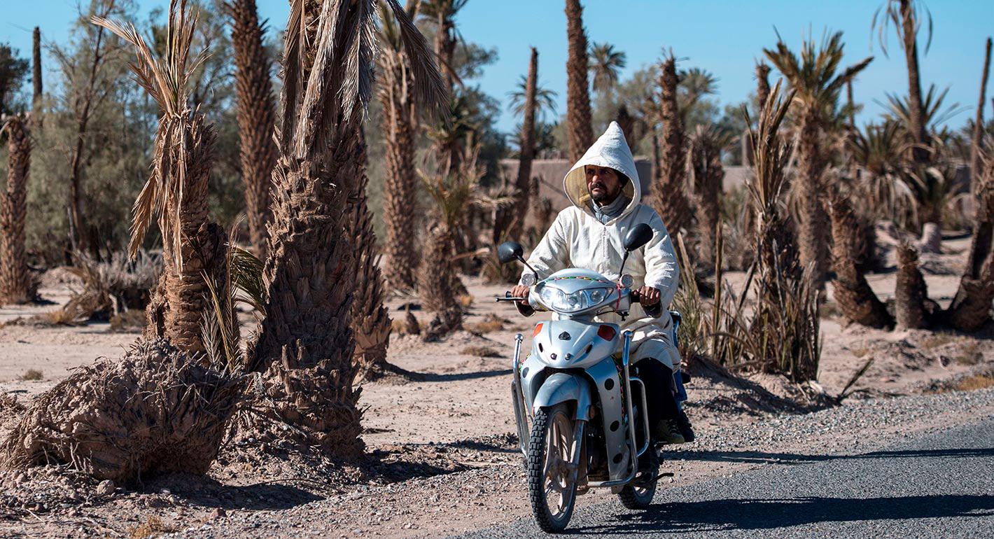 Dry Winters and Scorching Springs: Climate Change in Morocco